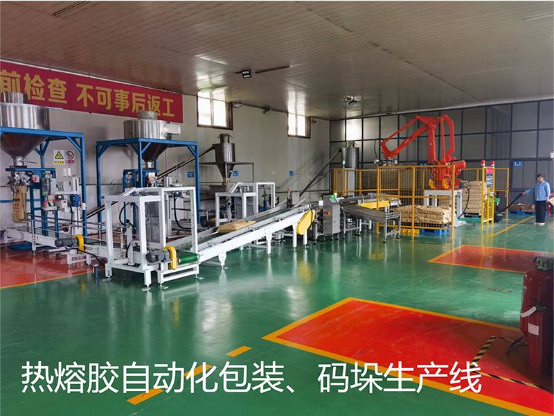 熱熔膠自動(dòng)化包裝、碼垛生產(chǎn)線